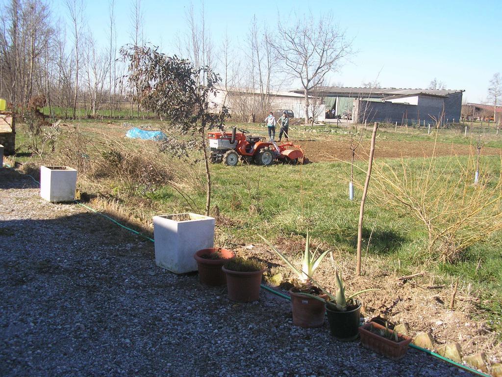 Affittacamere Il Girasole Pontevico Habitación foto