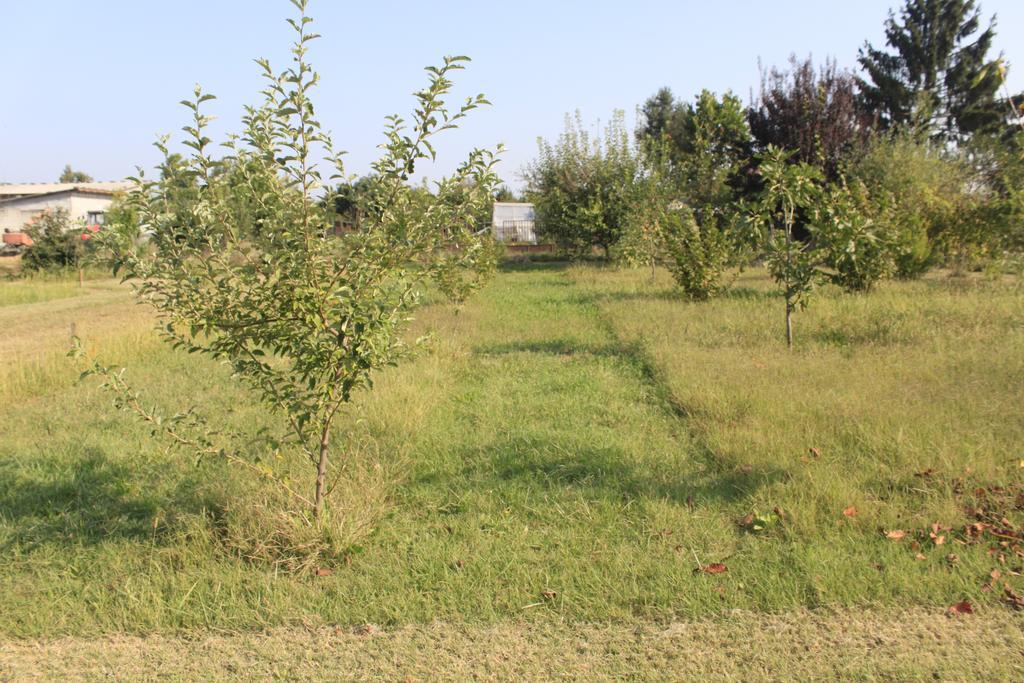 Affittacamere Il Girasole Pontevico Exterior foto