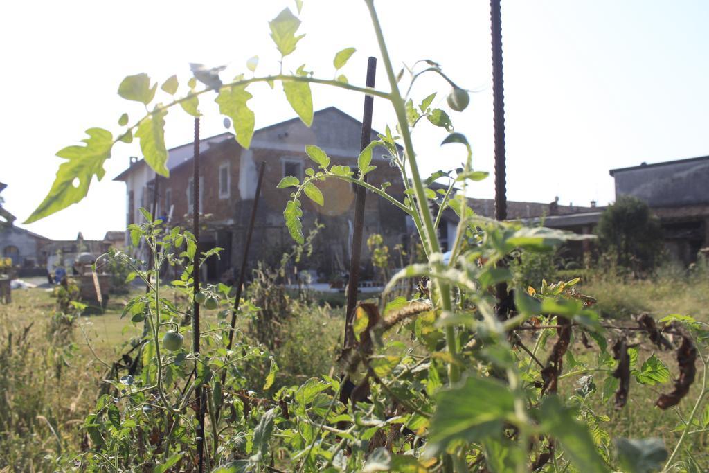 Affittacamere Il Girasole Pontevico Exterior foto