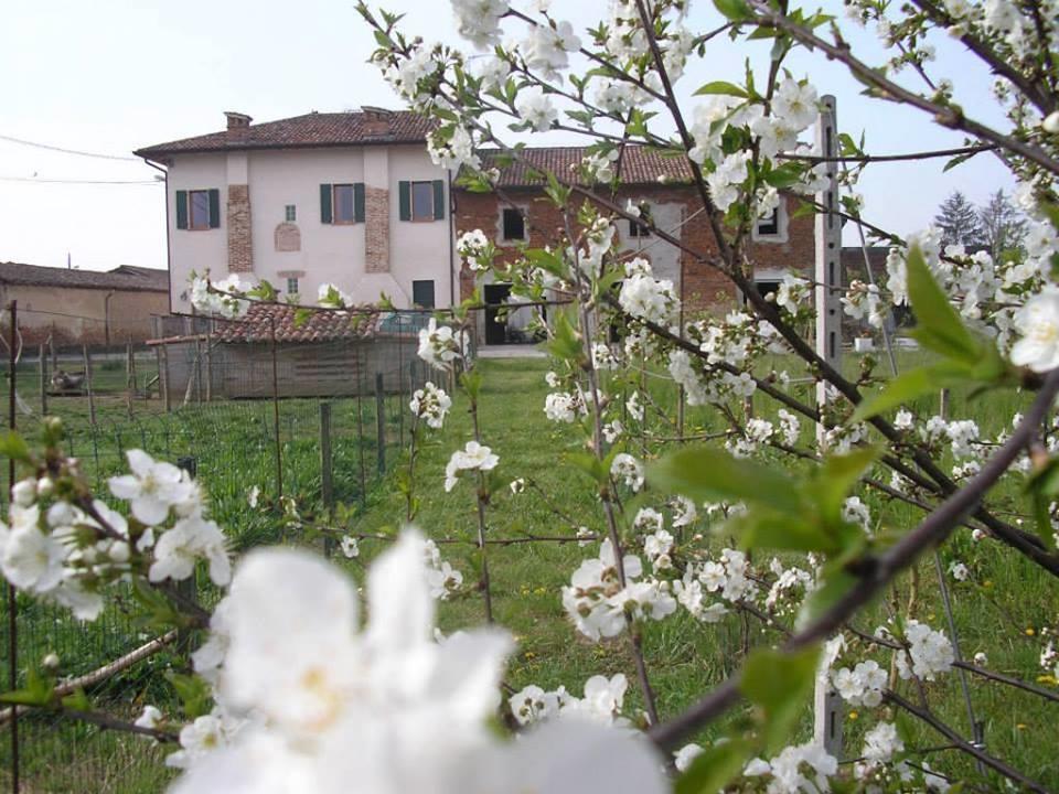 Affittacamere Il Girasole Pontevico Exterior foto